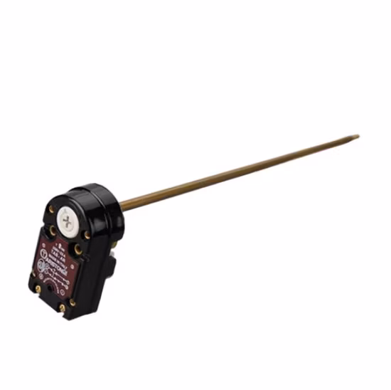 전기 온수기에 적합 Wt 시리즈 막대 온도 조절기 스위치 16A 순수 구리 막대